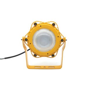 Explosion-proof ceiling light